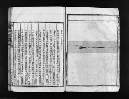 浙江吴氏族谱-埭川吴氏宗谱 [不分卷].pdf电子版插图5