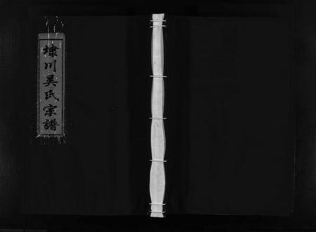 浙江吴氏族谱-埭川吴氏宗谱 [按房分卷].pdf电子版插图1