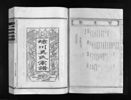 浙江吴氏族谱-埭川吴氏宗谱 [按房分卷].pdf电子版插图2