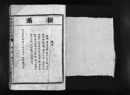 浙江翁氏族谱-埭头翁氏宗谱 [不分卷].pdf电子版插图2
