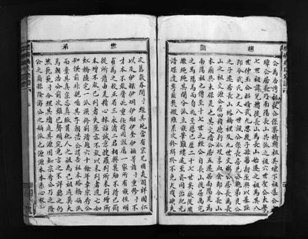 浙江吴氏族谱-塔桥吴氏宗谱 [不分卷].pdf电子版插图5