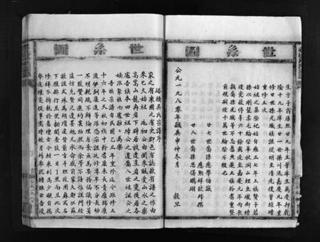 浙江吴氏族谱-塔桥吴氏宗谱 [不分卷].pdf电子版插图5