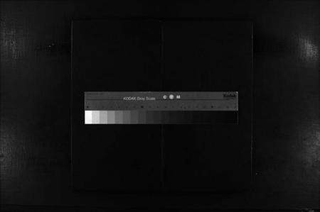 浙江张氏族谱-塔头张氏族谱 [残卷].pdf电子版