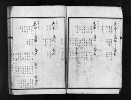 浙江张氏族谱-塔头张氏族谱 [残卷].pdf电子版插图4