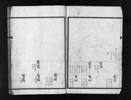 浙江张氏族谱-塔头张氏族谱 [残卷].pdf电子版插图5