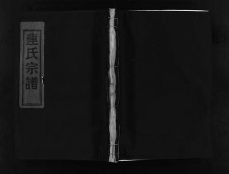 浙江连氏族谱-壆前连氏宗谱 [不分卷].pdf电子版插图1