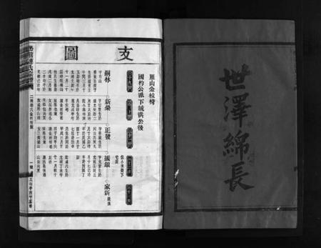 浙江连氏族谱-壆前连氏宗谱 [不分卷].pdf电子版插图3