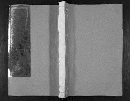 浙江张氏族谱-夏张张氏宗谱.pdf电子版