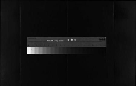 浙江夏氏族谱-夏氏宗谱 [不分卷].pdf电子版插图