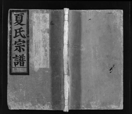 浙江夏氏族谱-夏氏宗谱 [不分卷].pdf电子版插图1