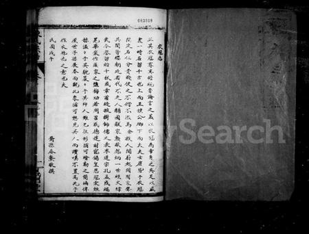 湖北陈氏族谱-陈氏宗谱.pdf电子版插图1