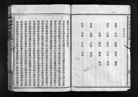 浙江陈氏族谱-大林陈氏宗谱 [6卷].pdf电子版插图4