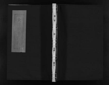 浙江陈氏族谱-大林陈氏宗谱 [9卷,含首1卷].pdf电子版插图1