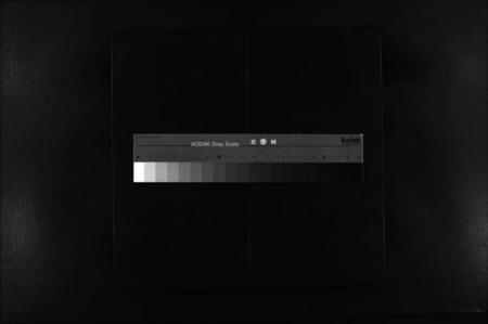 浙江陈氏族谱-大林陈氏宗谱 [残卷].pdf电子版