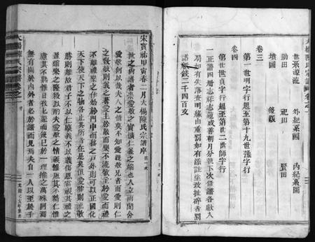 浙江陈氏族谱-大杨陈氏宗谱 [4卷].pdf电子版插图5