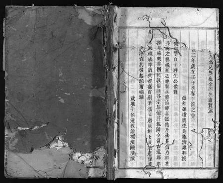 浙江陈氏族谱-大杨陈氏宗谱 [残卷].pdf电子版插图1