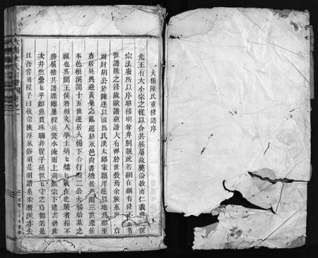 浙江陈氏族谱-大杨陈氏宗谱 [残卷].pdf电子版插图2