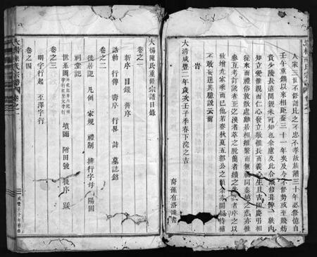 浙江陈氏族谱-大杨陈氏宗谱 [残卷].pdf电子版插图3