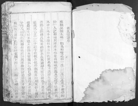 浙江胡氏族谱-大胡胡氏宗谱[2卷].pdf电子版插图1