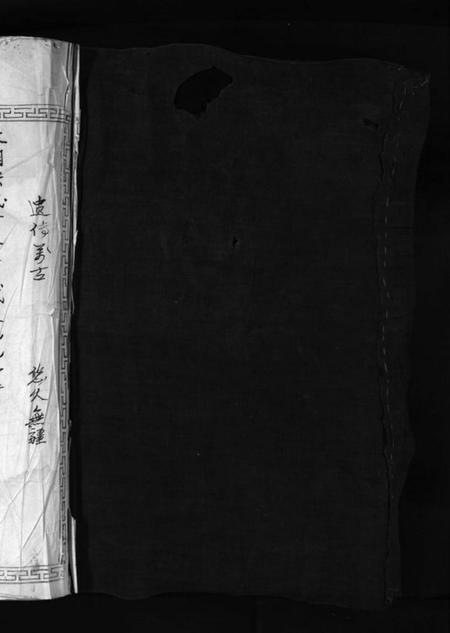 浙江李氏族谱-大茅岭李氏宗谱 [不分卷].pdf电子版插图2