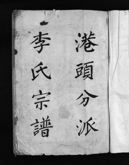 浙江李氏族谱-大茅岭李氏宗谱 [不分卷].pdf电子版插图3