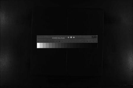 浙江杨氏族谱-天地人杨氏大宗谱 [不分卷].pdf电子版