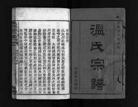 浙江温氏族谱-太原郡温氏宗谱 [2卷].pdf电子版插图2