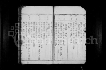 浙江王氏族谱-太原郡王氏宗谱.pdf电子版插图3