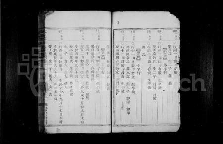 浙江王氏族谱-太原郡王氏宗谱.pdf电子版插图4