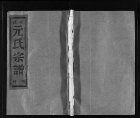 浙江元氏族谱-太邑元氏宗谱 [不分卷].pdf电子版插图1