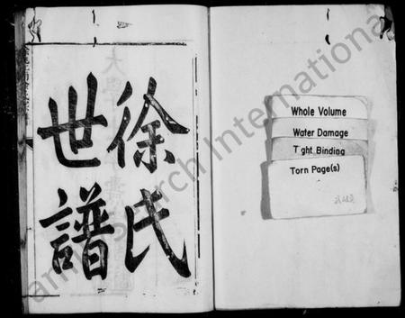 浙江徐氏族谱-姚江徐氏宗谱 [8卷].pdf电子版插图2