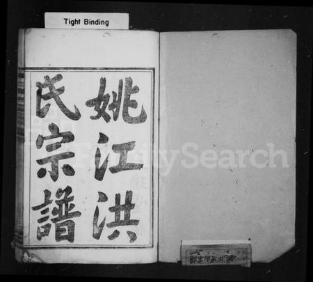 浙江洪氏族谱-姚江洪氏宗谱 [1卷,首1卷].pdf电子版插图2