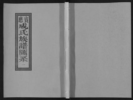 江苏成氏族谱-宝应成氏族谱[8卷].pdf电子版插图