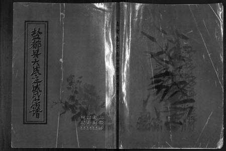 江苏成氏族谱-盐都县大成庄成氏宗谱[不分卷].pdf电子版