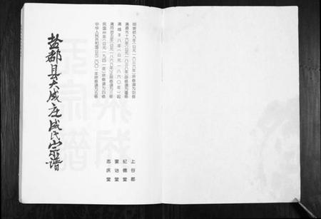 江苏成氏族谱-盐都县大成庄成氏宗谱[不分卷].pdf电子版插图1