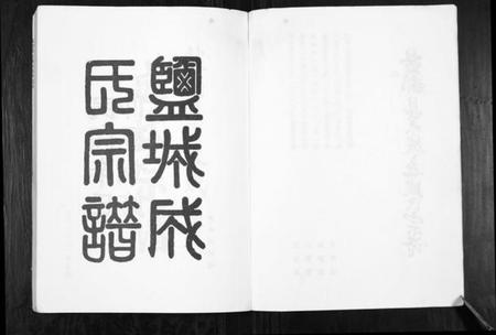 江苏成氏族谱-盐都县大成庄成氏宗谱[不分卷].pdf电子版插图2