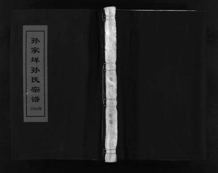 浙江孙氏族谱-孙家垟孙氏宗谱 [3卷].pdf电子版插图1