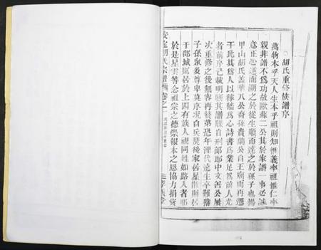 浙江胡氏族谱-安定胡氏宗谱.pdf电子版插图2