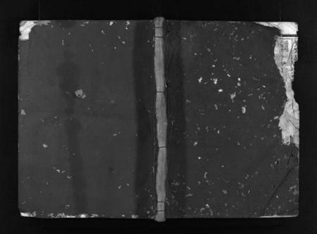 浙江胡氏族谱-安定胡氏宗谱 [8卷].pdf电子版插图1