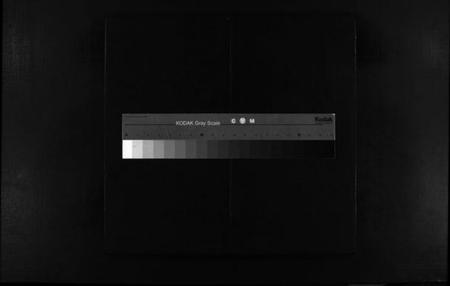 浙江胡氏族谱-安定胡氏宗谱 [不分卷].pdf电子版