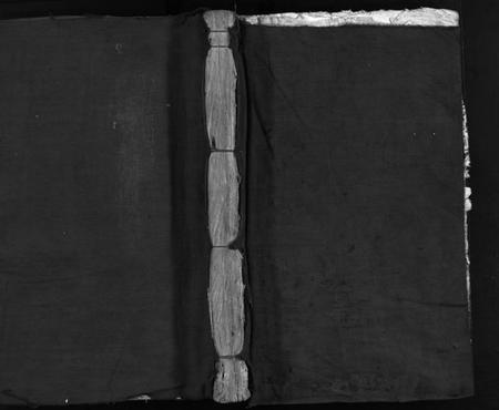 浙江胡氏族谱-安定胡氏宗谱 [不分卷].pdf电子版插图1