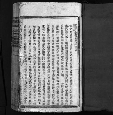 浙江胡氏族谱-安定胡氏宗谱 [不分卷].pdf电子版插图2