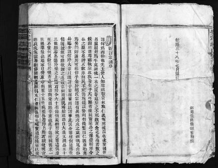 浙江胡氏族谱-安定胡氏宗谱 [不分卷].pdf电子版插图5