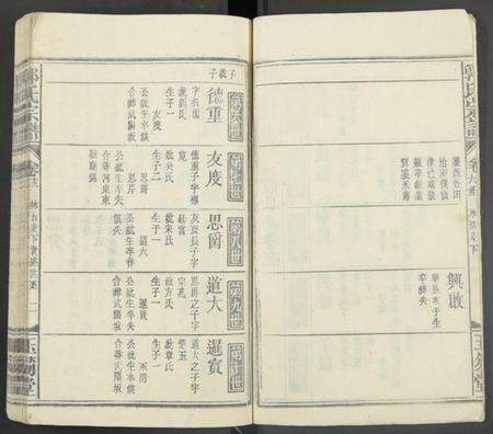 湖南郭氏族谱-郭氏宗谱 [残卷].pdf电子版插图2