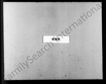 浙江胡氏族谱-安定胡氏族谱.pdf电子版插图2