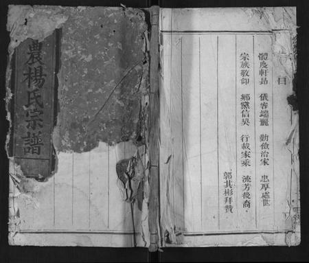 浙江杨氏族谱-宏农杨氏宗谱[2卷].pdf电子版插图