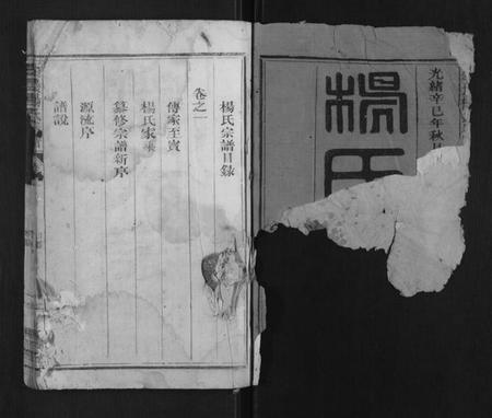 浙江杨氏族谱-宏农杨氏宗谱[2卷].pdf电子版插图1