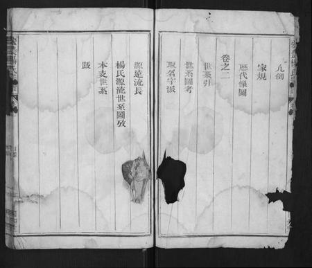 浙江杨氏族谱-宏农杨氏宗谱[2卷].pdf电子版插图2