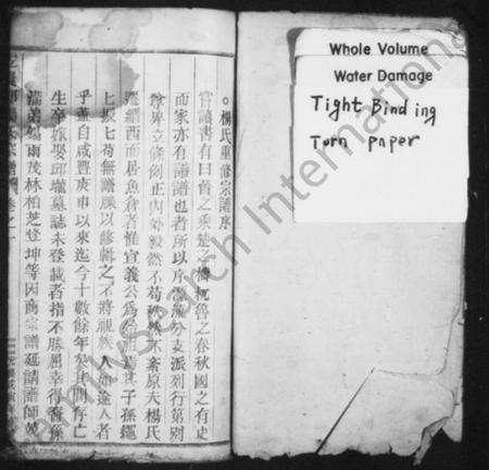 浙江杨氏族谱-宏农郡杨氏宗谱 [存2卷].pdf电子版插图2