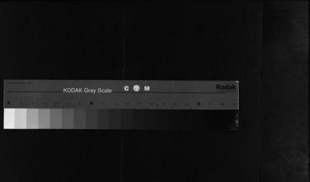 浙江陈氏族谱-官桥陈氏罗塘信房宗谱 [残卷].pdf电子版